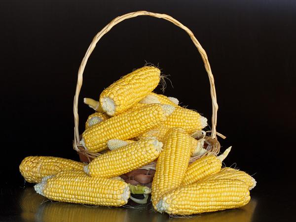 棒子图片 第2张