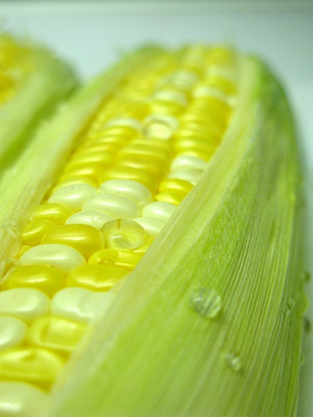 粟米图片 第1张