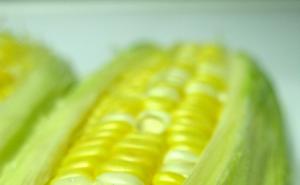 粟米图片 第1张