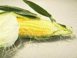 芦黍图片 第3张