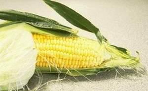 芦黍图片 第3张