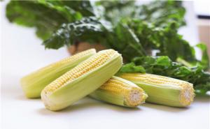 芦黍图片 第2张