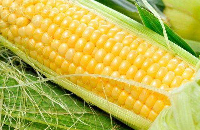 糯玉米图片 第7张