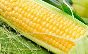 糯玉米图片 第7张