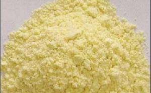 玉米面图片 第3张