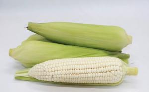 新鲜白玉米图片 第2张