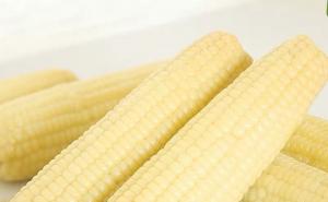 新鲜白玉米图片 第4张