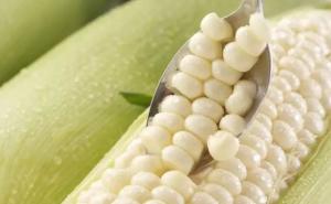 新鲜白玉米图片 第5张