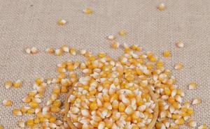 花包谷图片 第4张