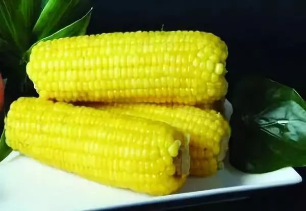 粘玉米图片 第2张