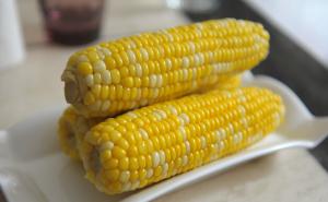 粘玉米图片 第6张