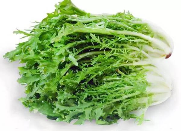 苦苣图片 第2张