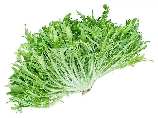 苦苣图片 第3张