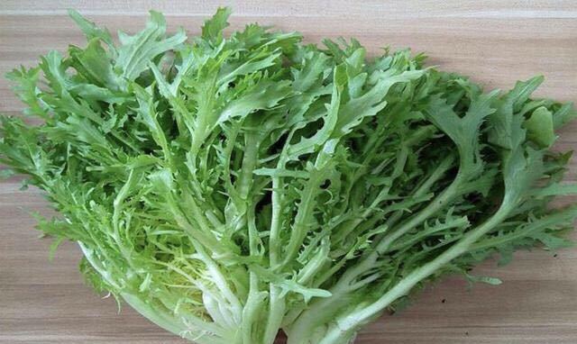 苦菜图片 第4张
