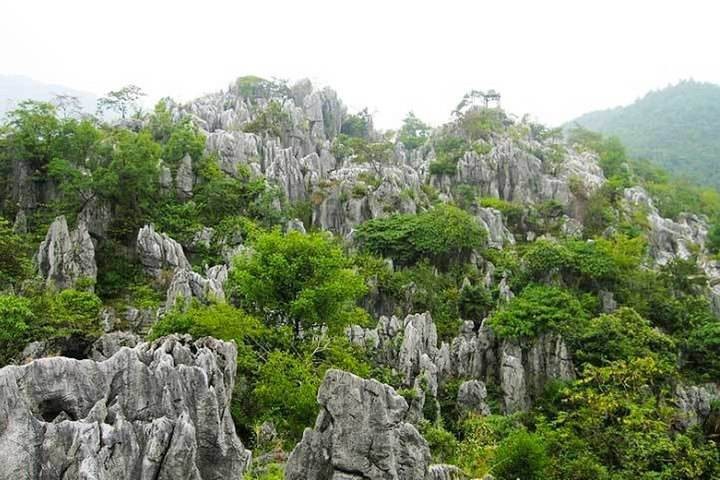石林图片 第4张