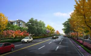 道路图片 第2张