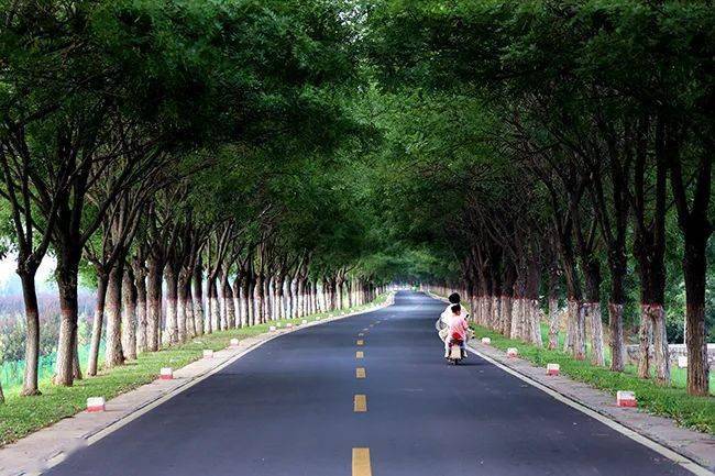 道路图片 第6张