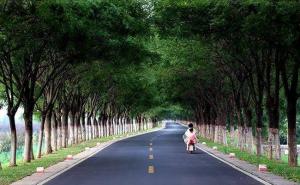 道路图片 第6张
