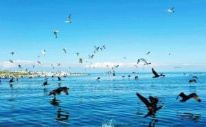 江河湖泊图片 第7张