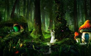 梦幻森林图片