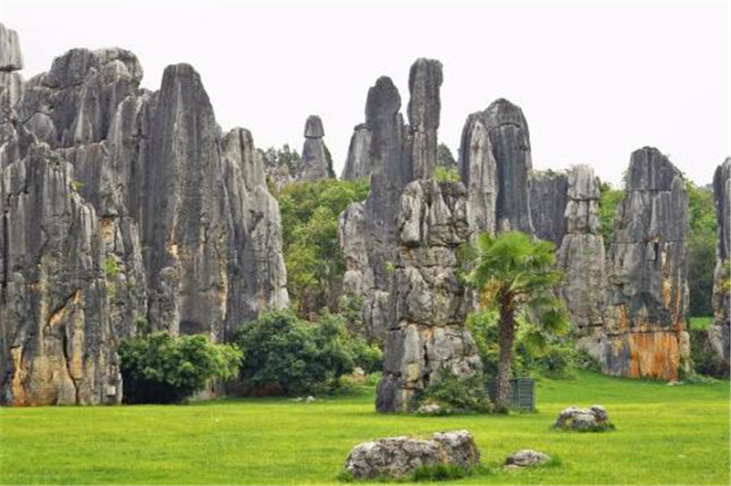 云南昆明石林风景图片 第1张