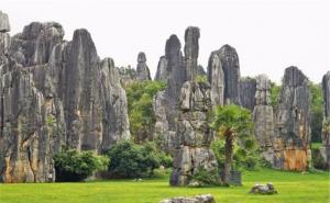 云南昆明石林风景图片