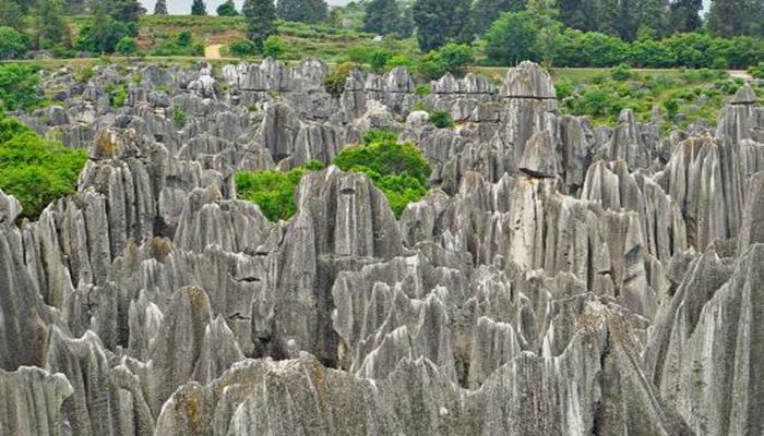 云南昆明石林风景图片 第5张