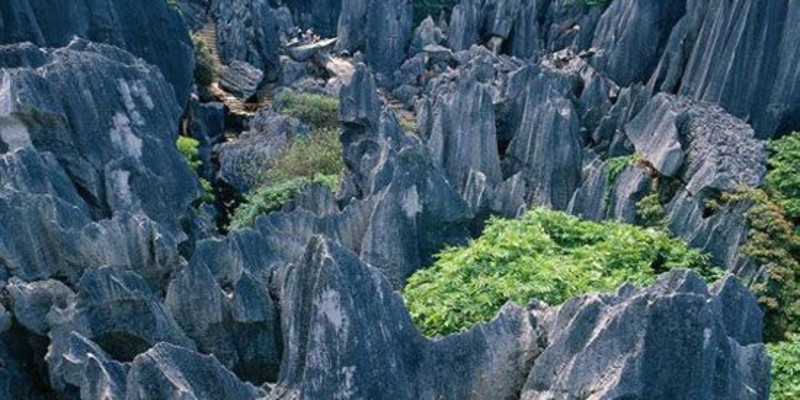 云南昆明石林风景图片 第6张