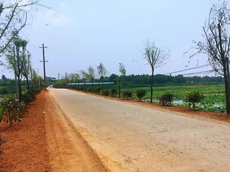 农村道路图片 第6张