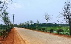 农村道路图片 第6张
