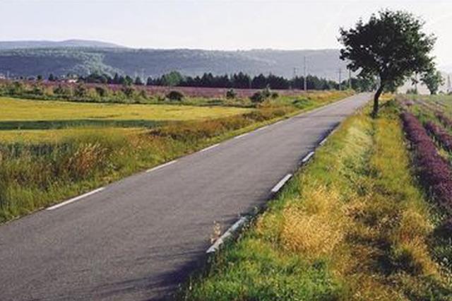 农村道路图片 第9张