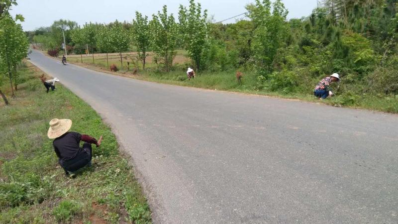 农村道路图片 第8张