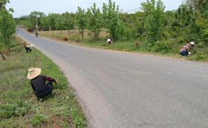 农村道路图片 第8张