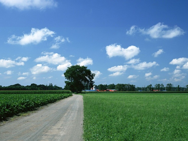自然道路风景图片 第1张