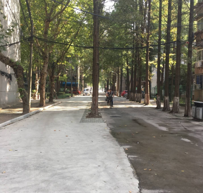 校园道路图片 第1张