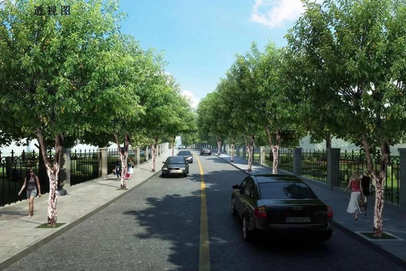 校园道路图片 第4张