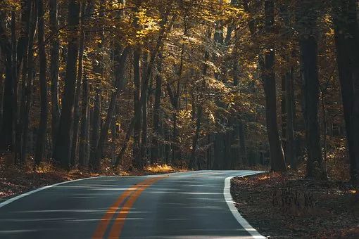 道路照片唯美图片 第4张