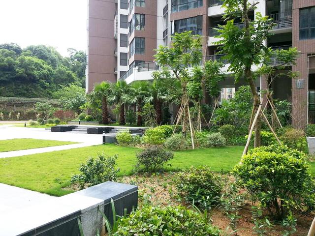 小区公园图片 第2张