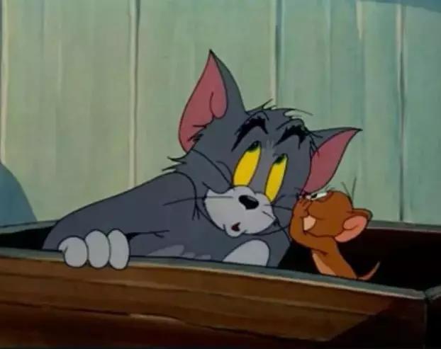 汤姆猫和杰瑞鼠图片 第5张