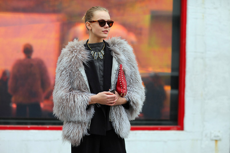 紫貂皮图片 第5张