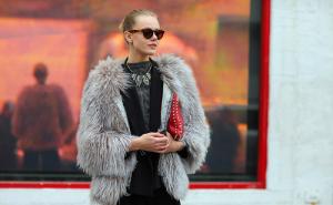 紫貂皮图片 第5张