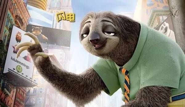 闪电树懒图片 第3张