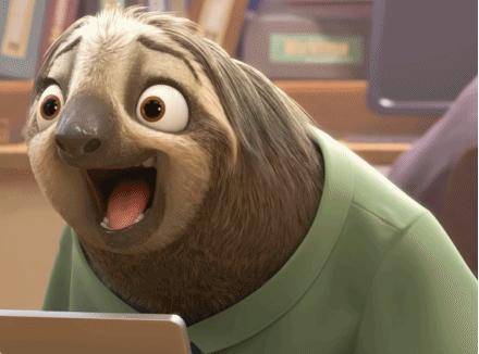 闪电树懒图片 第2张