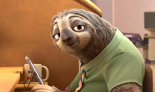 闪电树懒图片 第4张