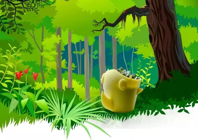 森林动漫背景图片 第1张