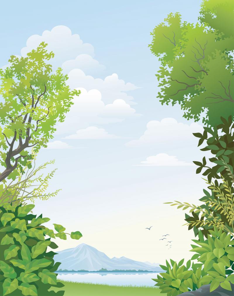 森林动漫背景图片 第5张