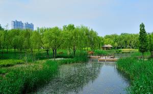 济南森林公园图片