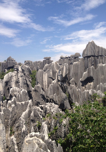 昆明石林图片 第2张