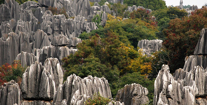 昆明石林图片 第7张