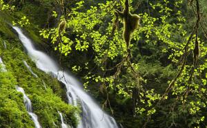 瀑布流水图片 第3张